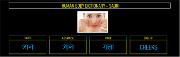 D:\Ina Labs\AeA Guwathi\Dicti\Human Body\