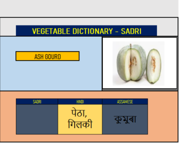 Sadri Vegetables Flipbook