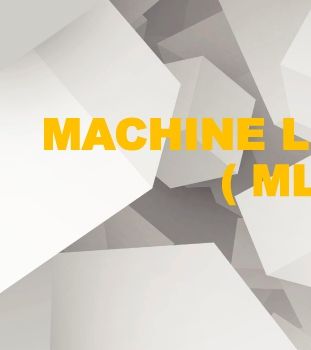 MACHINE LEARNING ( ML )