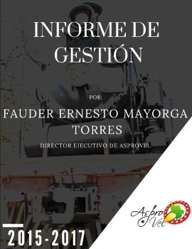 Informe de gestión