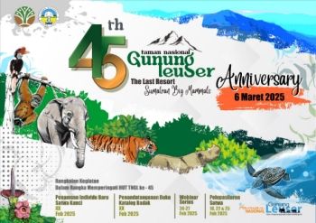 Flyer Logo Tema HUT TNGL 45