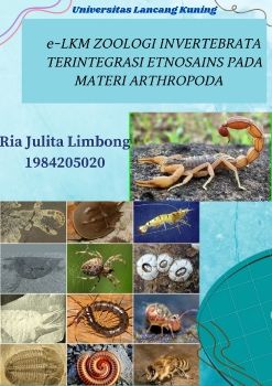 Arthropoda