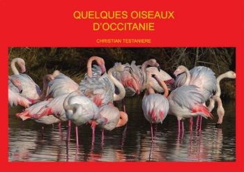 Quelques oiseaux d'Occitanie (extrait)