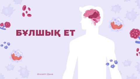 физология