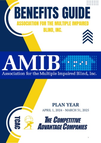 Condensed AMIB Benefit Booklet 2024