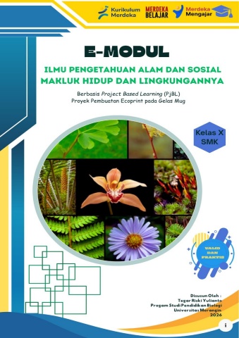 e - modul word
