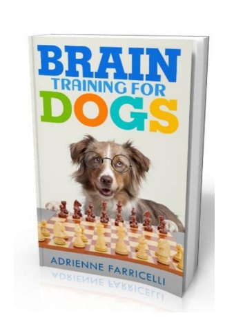 Brain Training For Dogs eBook