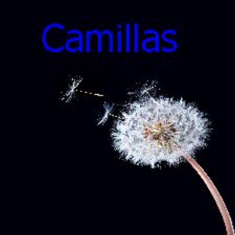 Camillas 