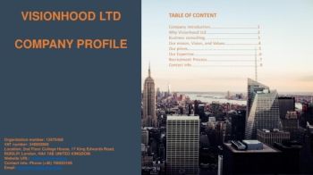 VISIONHOOD LTD COMPANY PROFILE