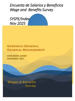 01 Gerencia General Nov 2025