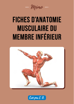 Fiche anatomie_E.Q_03-2021