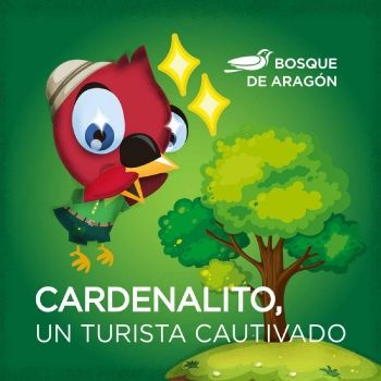 Cardenalito, un turista cautivado