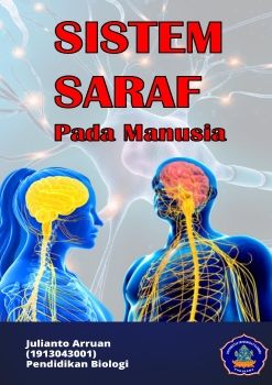 Sistem Saraf pada Manusia