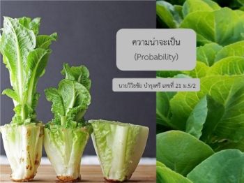 ความน่าจะเป็น  (Probability)