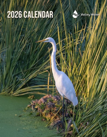 2026 Calendar and FY 2024-25 Annual Report
