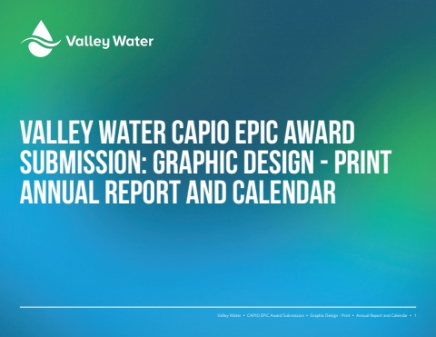 CAPIO Award Submission - Annual Report