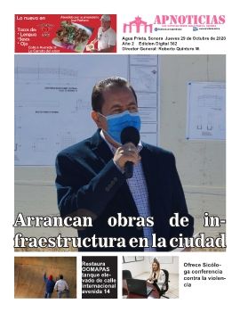 edicion digital 362 APNoticias