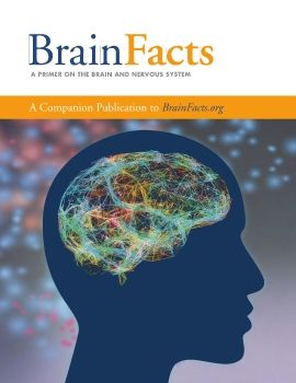 Brain Facts