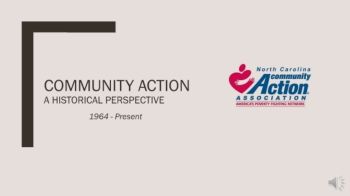 Community Action A Historical Perspective
