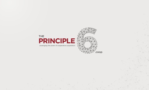 The Principle 6 Vision