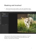 Brush masking instructions