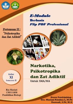 E-MODULE NAPZA PERTEMUAN II