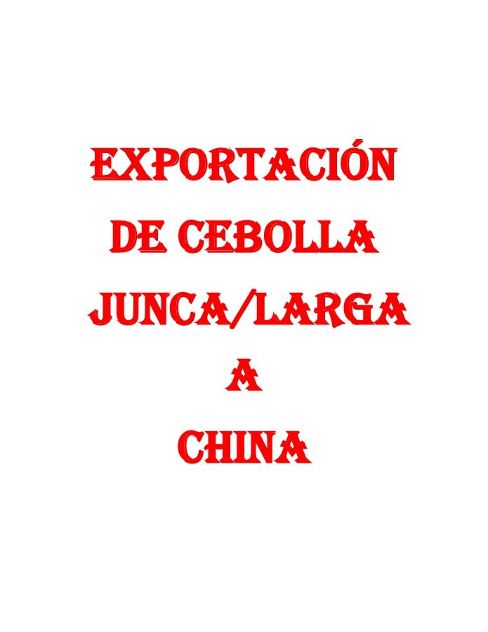 EXPORTACIÓN CEBOLLA