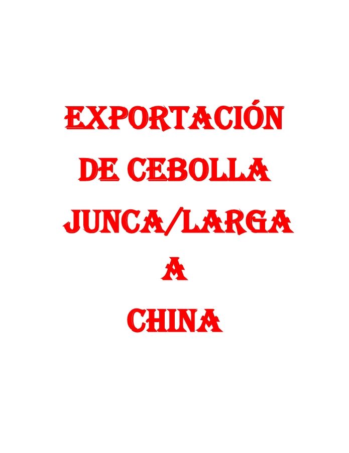 EXPORTACIÓN CEBOLLA 23...