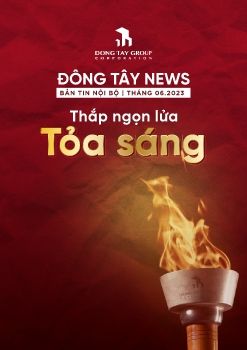 Bản tin DTL tháng 6