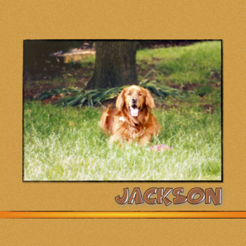 Jackson Pet Memoir