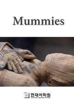 IP3B 006 Mummies