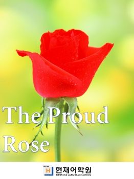 BP3A 008 The Proud Rose