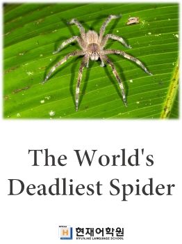 BP1C 020 The World's Deadliest Spider