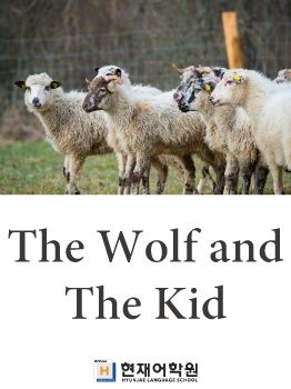BP1A 012 The Wolf and The Kids