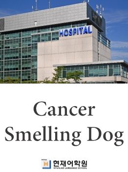 BP3C 015 Cancer Smelling Dog
