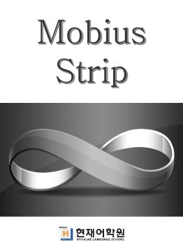 IP3A 006 Mobius Strip