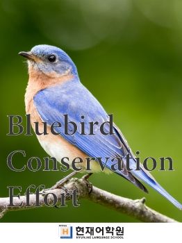 BP3C 008 Bluebird Conservation Effort
