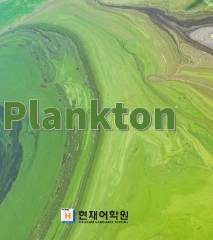 BP3B 008 Plankton