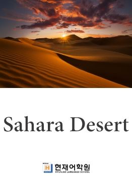 BP2C 003 Sahara Desert