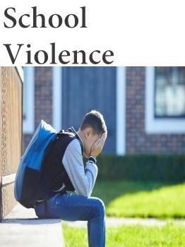 IP2A 002 School Violence