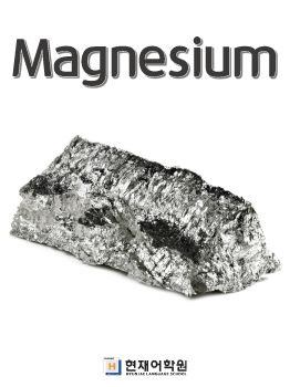 BP1C 011 Magnesium