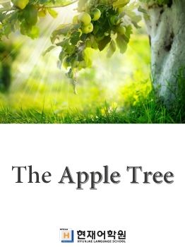 BP2Z 001 The Apple Tree 