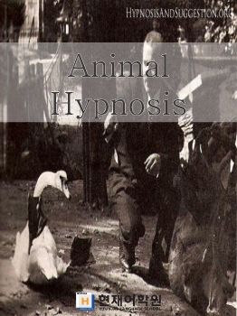 IP3A 002 Animal Hypnosis