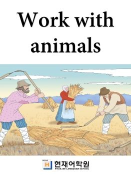 IP1B 008 Work with animals