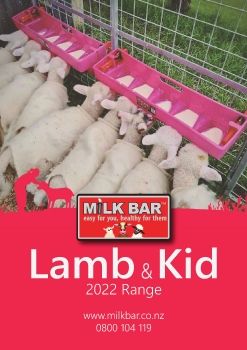 NZ 23 Lambs