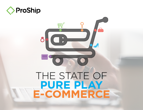 The State of Pure Play E-Commerce