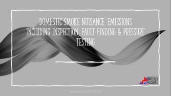 Domestic Smoke Nuisance and Emissions Final_Neat