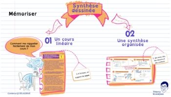 Mémoriser _synthese dessinee