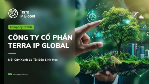 Profile terra Ip Global