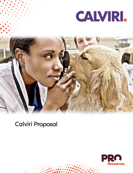 Calviri proposal